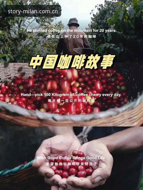 每双都带故事中国官网入口下载不了怎么办 3种实测方法解决每双都带故事中国官网入口下载不了怎么办的困境